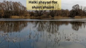 halki shayari for shant shaam