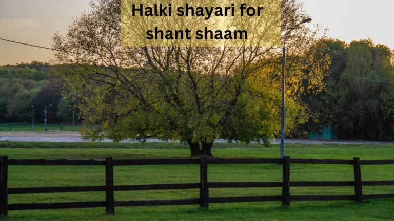 halki shayari for shant shaam