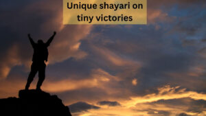 unique shayari on tiny victories