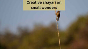 creative shayari on small wonders