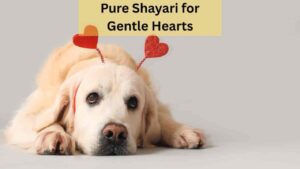 pure shayari for gentle hearts