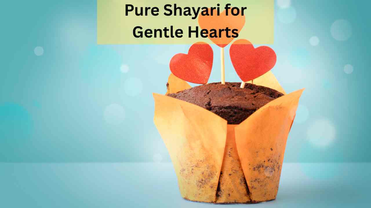 Pure Shayari for Gentle Hearts
