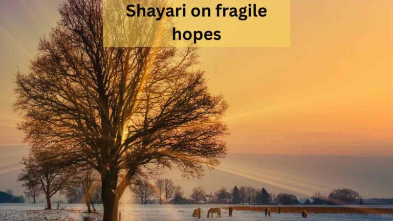 shayari on fragile hopes